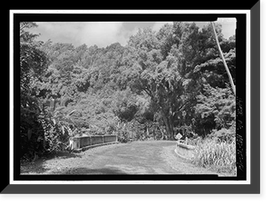 Historic Framed Print, Hana Belt Road, Between Haiku and Kaipahulu, Hana vicinity, Maui County, HI - 48,  17-7/8" x 21-7/8"
