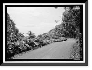 Historic Framed Print, Hana Belt Road, Between Haiku and Kaipahulu, Hana vicinity, Maui County, HI - 151,  17-7/8" x 21-7/8"