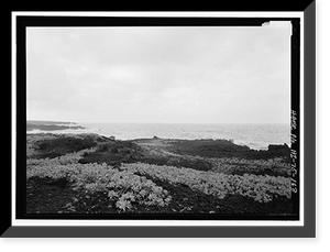 Historic Framed Print, Hana Belt Road, Between Haiku and Kaipahulu, Hana vicinity, Maui County, HI - 168,  17-7/8" x 21-7/8"