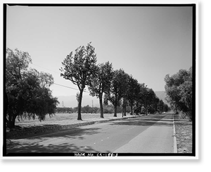 Historic Framed Print, Euclid Avenue, Upland, San Bernardino County, CA - 3,  17-7/8" x 21-7/8"
