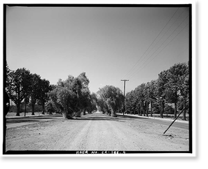 Historic Framed Print, Euclid Avenue, Upland, San Bernardino County, CA - 4,  17-7/8" x 21-7/8"
