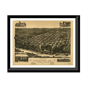 Panoramic Map - Tuscaloosa, Alabama, 1887 - Bird's Eye View Print