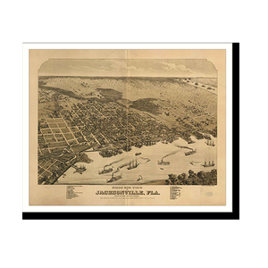 Panoramic Map - Jacksonville, Florida, 1876 - Bird's Eye View Print