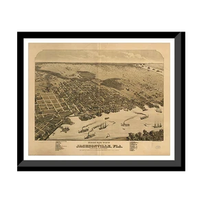 Panoramic Map - Jacksonville, Florida, 1876 - Bird's Eye View Print