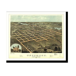 Panoramic Map - Tecumseh, Michigan, 1868 - Bird's Eye View Print