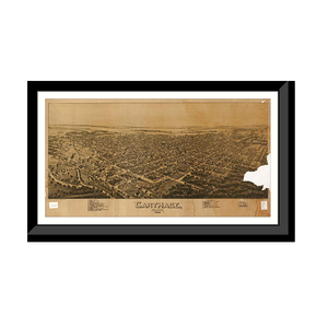 Panoramic Map - Carthage, Missouri, 1891 - Bird's Eye View Print