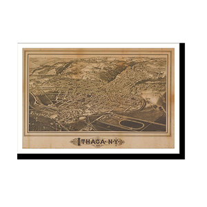 Panoramic Map - Ithaca, New York, 1882 - Bird's Eye View Print
