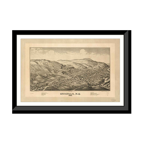 Panoramic Map - Unadilla, New York, 1887 - Bird's Eye View Print