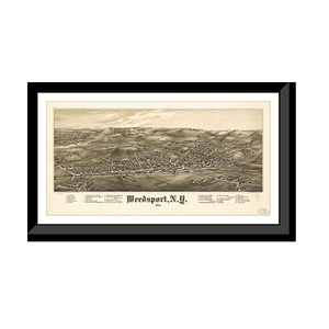 Panoramic Map - Weedsport, New York, 1885 - Bird's Eye View Print