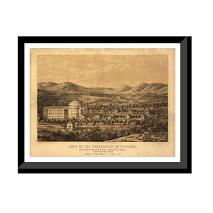 Panoramic Map - Charlottesville, Virginia, 1856 - Bird's Eye View Print