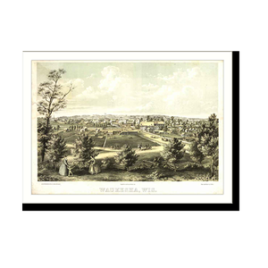 Panoramic Map - Waukesha, Wisconsin, 1857 - Bird's Eye View Print