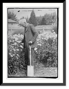 Luther Burbank - 2, Antique Poster