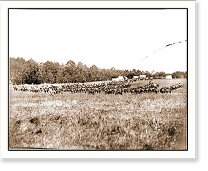 Historic Military - Culpeper Va - Vintage Wall Art Gift
