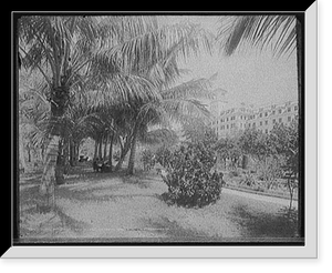 Historic Framed Print, Hotel [Royal] Poinciana, Lake Worth,  17-7/8" x 21-7/8"