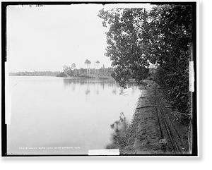 Antique Scenic Print - Wisconsin - White Bass Lake near Gordon's