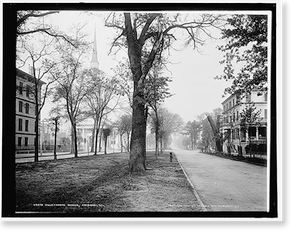 Antique City View - Savannah, Georgia - Oglethorpe Avenue