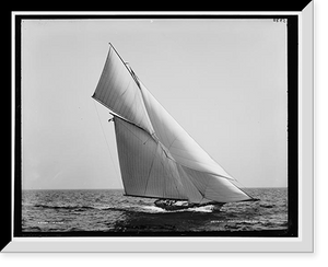 Historic Framed Print, Hawk,  17-7/8" x 21-7/8"