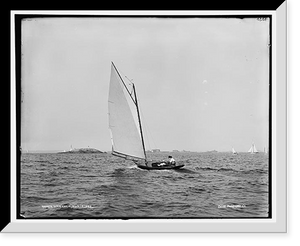 Vanessa, Historic Reproduction