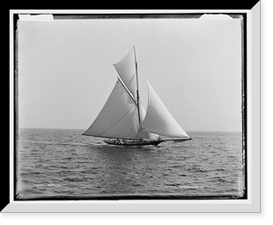 Historic Framed Print, Gorilla,  17-7/8" x 21-7/8"