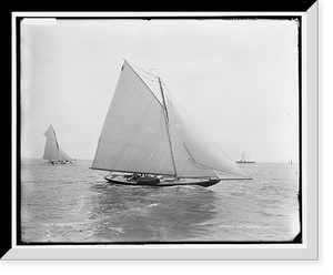 Historic Framed Print, Drusilla - 2,  17-7/8" x 21-7/8"