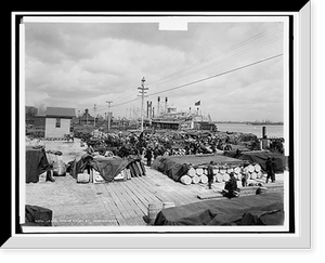 Historic Photo Print - New Orleans - Levee, foot of Canal St