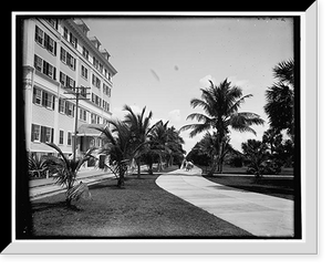 Bicycle Ave., Palm Beach, Florida Classic, Antique Print