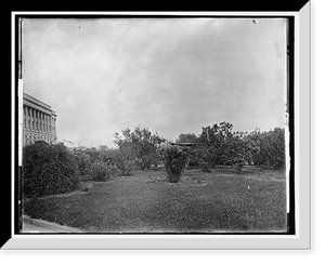 Historic Framed Print, The Capitol, Washington, D.C.,  17-7/8" x 21-7/8"