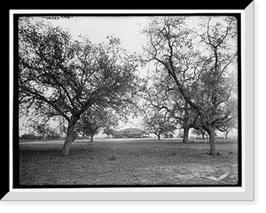 Historic Framed Print, Country Club, Pasadena, Cal.,  17-7/8" x 21-7/8"