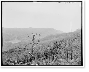 Vintage Americana Print - White Mountains - The Presidential Range