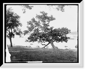 Historic Framed Print, Derring's [sic] Harbor, Shelter Island, N.Y. - 2,  17-7/8" x 21-7/8"