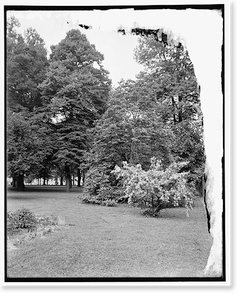 Historic Architecture - Washington, DC - White House grounds