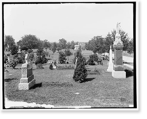 Vintage Landscape - Cedar Grove Cemetery, near Flushing, Long Island
