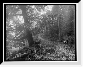 Riverside drive, Delaware Water Gap Classic, Historic Print