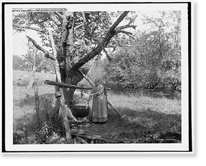Vintage Photo Print - Pennsylvania - A Bit of country life near