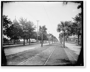 Antique Photo Print - Jacksonville, Florida - Palmetto Ave