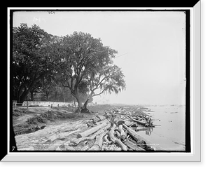 Vintage Photo Print - Mobile, Alabama - Shore at Frascati, Ala