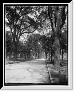 Historic Framed Print, Temple Street, New Haven - 2,  17-7/8" x 21-7/8"