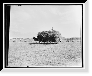 Historic Framed Print, Haying in the valley of the Jordan, Utah,  17-7/8" x 21-7/8"