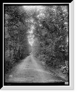 Historic Framed Print, Lover's [sic] Lane at Maplewood, Bethlehem, White Mountains,  17-7/8" x 21-7/8"