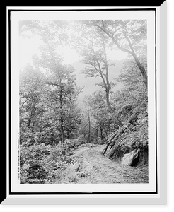 Historic Framed Print, Road on Toxaway Mt., Sapphire, N.C.,  17-7/8" x 21-7/8"