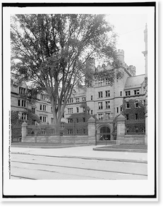 Historic Architecture - New Haven, Connecticut - Vanderbilt Hall gates