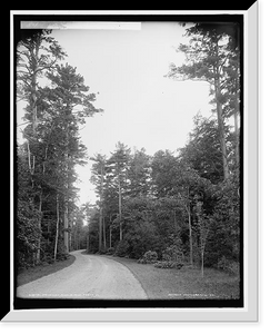 Historic Framed Print, Driveway, Shelburne Farms, Vt.,  17-7/8" x 21-7/8"