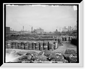 Historic Framed Print, Cotton on the levee, New Orleans, La.,  17-7/8" x 21-7/8"