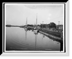 Black & White Photo - New Orleans, Louisiana - Evening on Bayou St. John