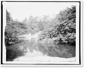 Historic Landscape - Brooklyn - Vale Cashmere, Prospect Park, N.Y