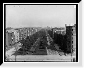 Historic Framed Print, Commonwealth Ave., Boston, Mass.,  17-7/8" x 21-7/8"