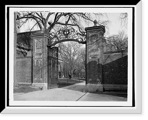 Antique Architecture - Harvard University, Massachusetts - Johnson Johns