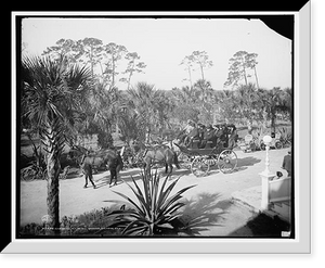 Historic Framed Print, Coaching at Hotel Ormond, Ormond, Fla.,  17-7/8" x 21-7/8"