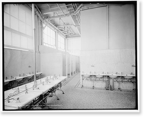 Vintage Photo Print - Niagara Falls - A Toilet room, Natural Food