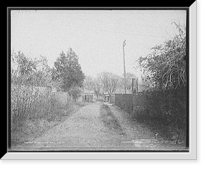 Surpentine i.e. serpentine Wall, U. of Va, Vintage Wall Art